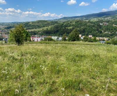 Kaufen Baugrundstück Erholung, Detva, Slowakei