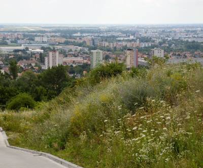 Kaufen Weinberg, Weinberg, Popolná, Bratislava - Rača, Slowakei