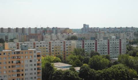 Suche 2-Zimmer-Wohnung, Bratislava - Petržalka, Slowakei