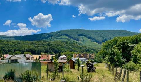 Zaujímavá príležitosť: Pozemok so starým domom v lone prírody, Buková