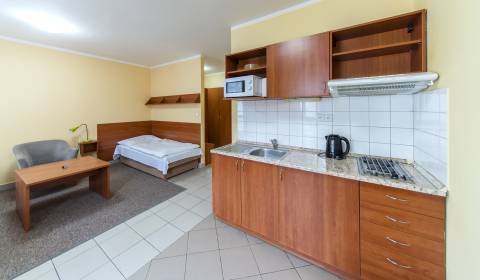 Mieten 1-Zimmer-Wohnung, 1-Zimmer-Wohnung, Mýtna, Bratislava - Staré M