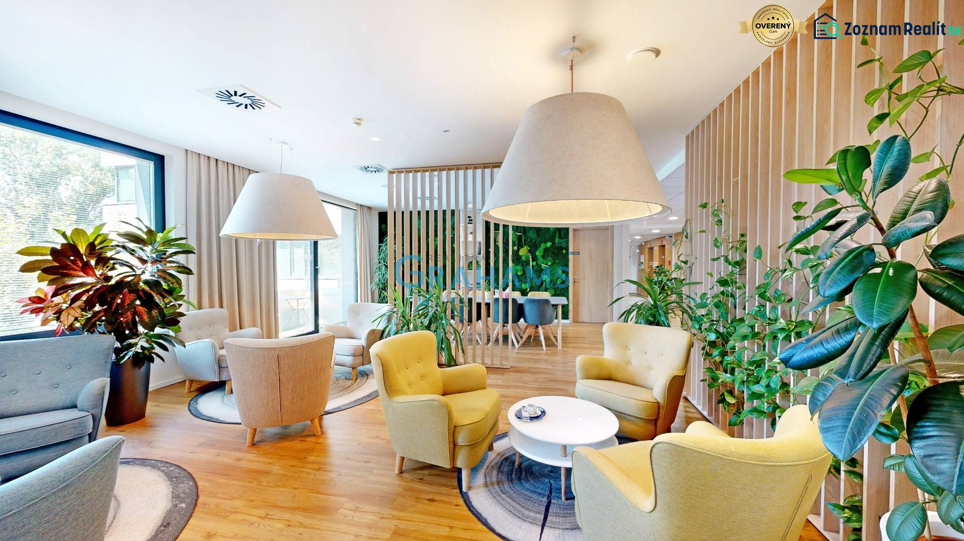 Helle Büros mit bequemen Stühlen, großen Pflanzen und einem Holzboden.