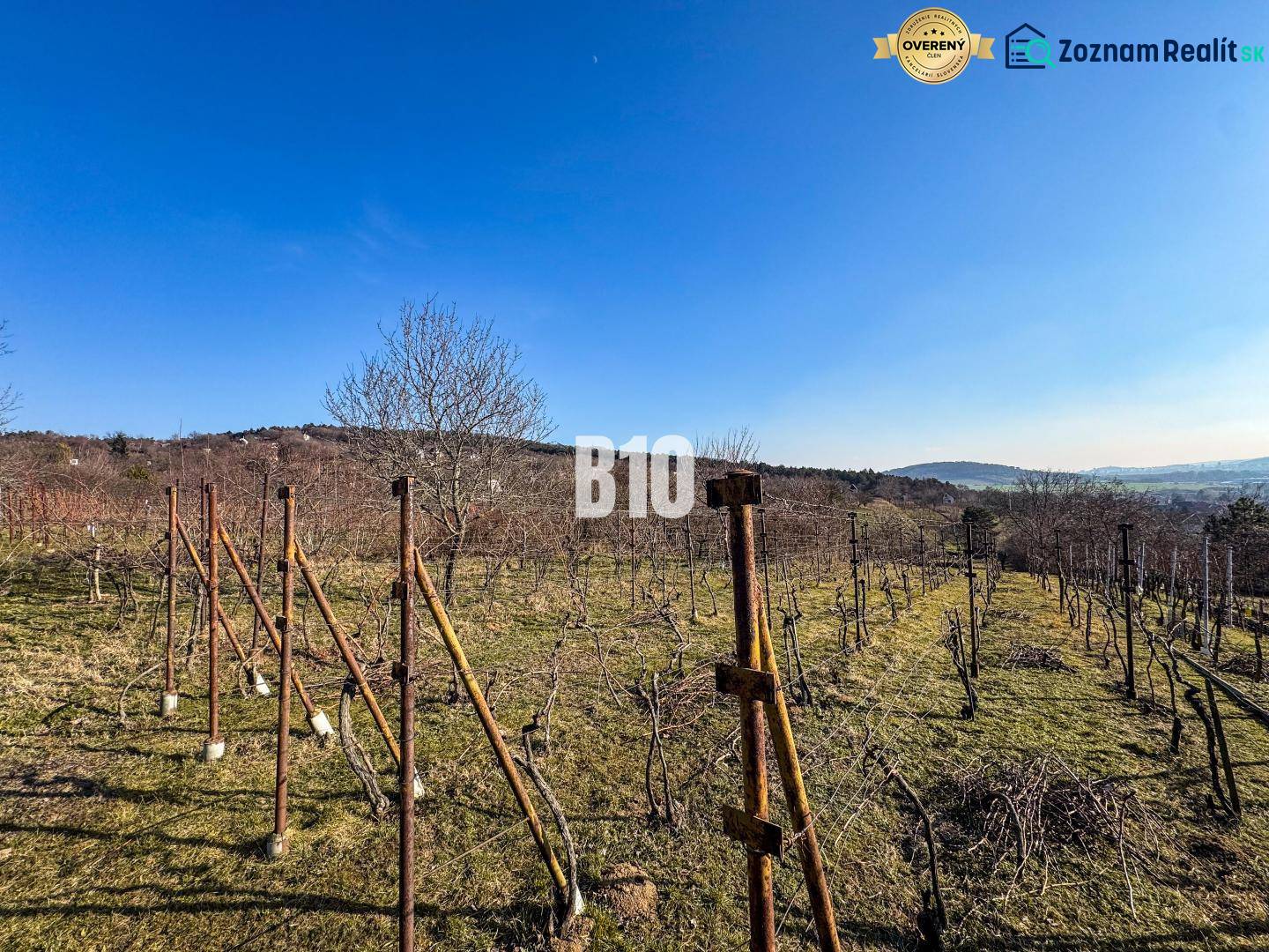 Weinberg in den Gärten von Nitra mit Blick auf die umliegende Landschaft und den blauen Himmel.