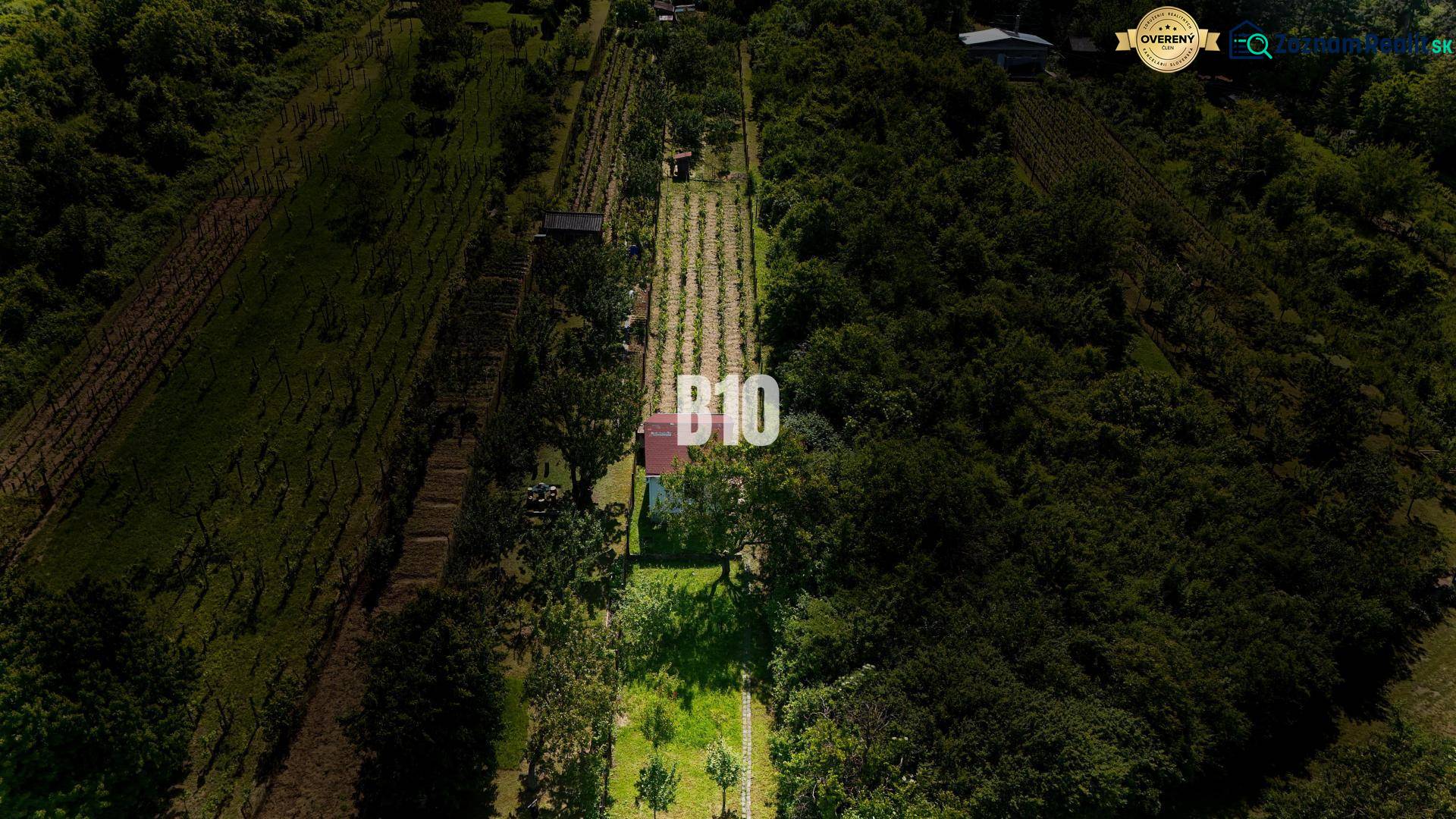 Weinberge bei Nitra, umgeben von Grün, mit einem kleinen Gebäude auf dem Grundstück.
