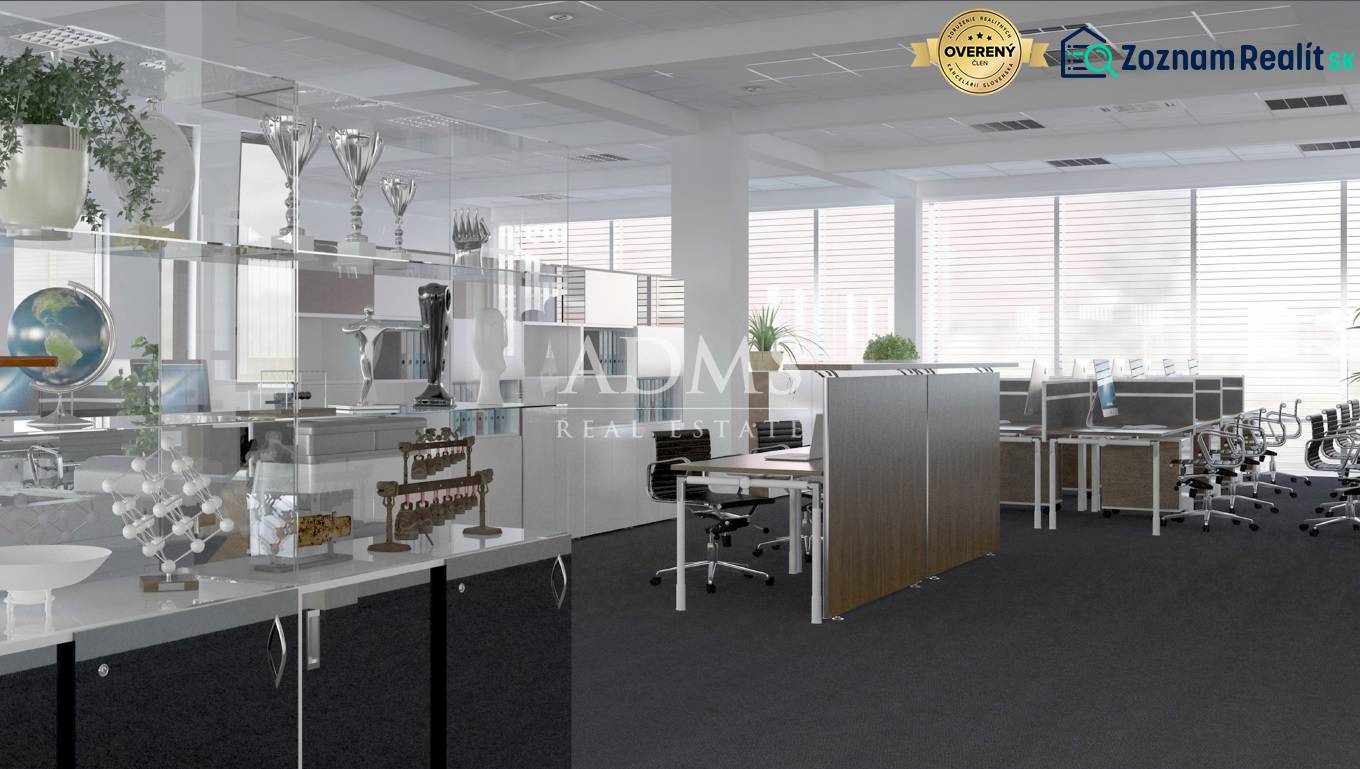 Geräumige Büros mit Schreibtischen und Dekorationen, einschließlich Trophäen und Pflanzen auf den Regalen.