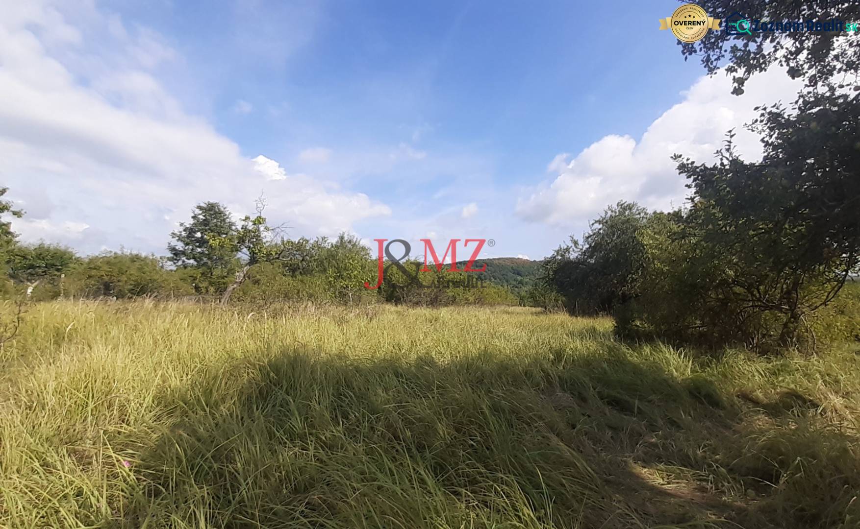 Grasgrundstück auf den Erholungsgrundstücken in Jabloňovce, Horné Jabloňovce, umgeben von Bäumen.