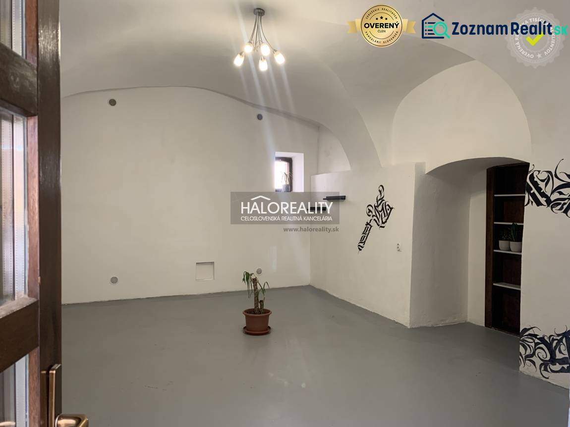 Innenräume von Büros mit weißen Wänden, gewölbter Decke und einer Pflanze im Blumentopf.