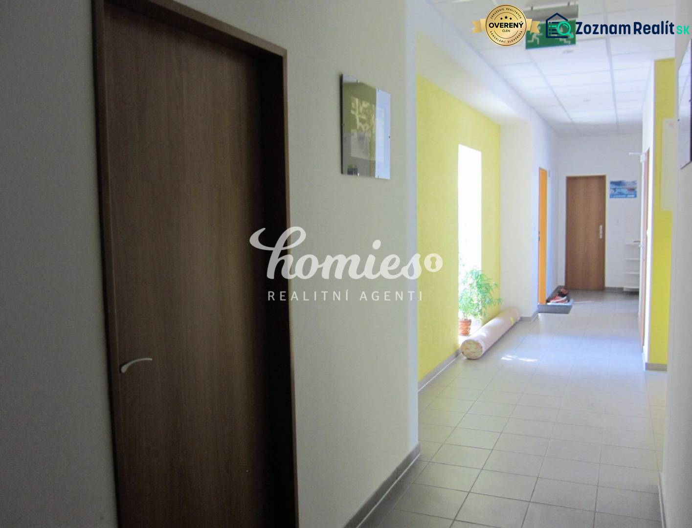 Der Flur mit Türen und einer Pflanze in der Štúrova-Straße führt zu den Büros.