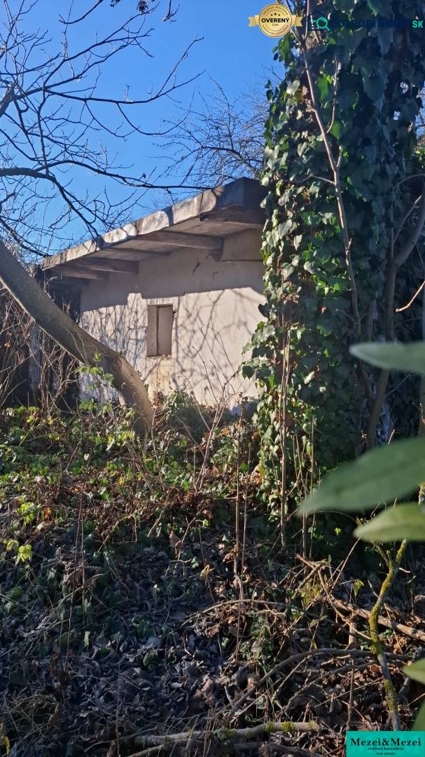 Ein verwachsener Garten rund um die Hütte in Suchá nad Parnou mit dichtem Bewuchs und Bäumen.