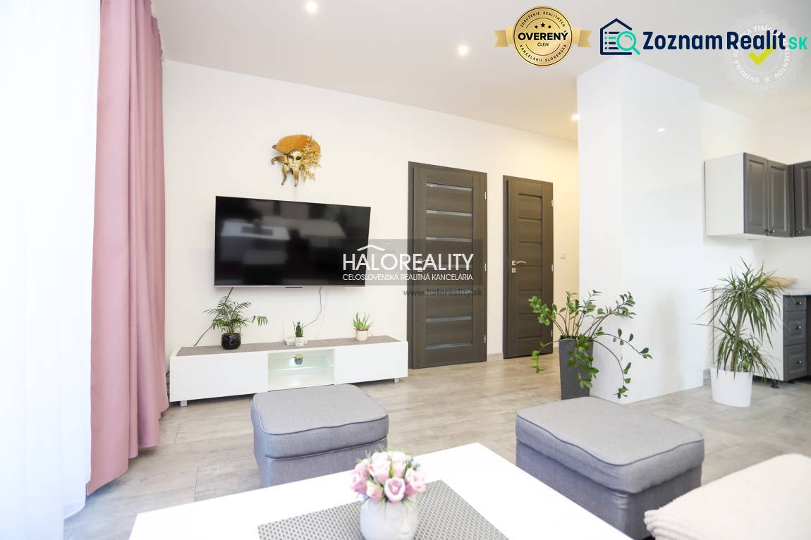 Wohnzimmer in einer 2-Zimmer-Wohnung mit Fernseher, Pflanzen und einem Boden in Holzoptik.