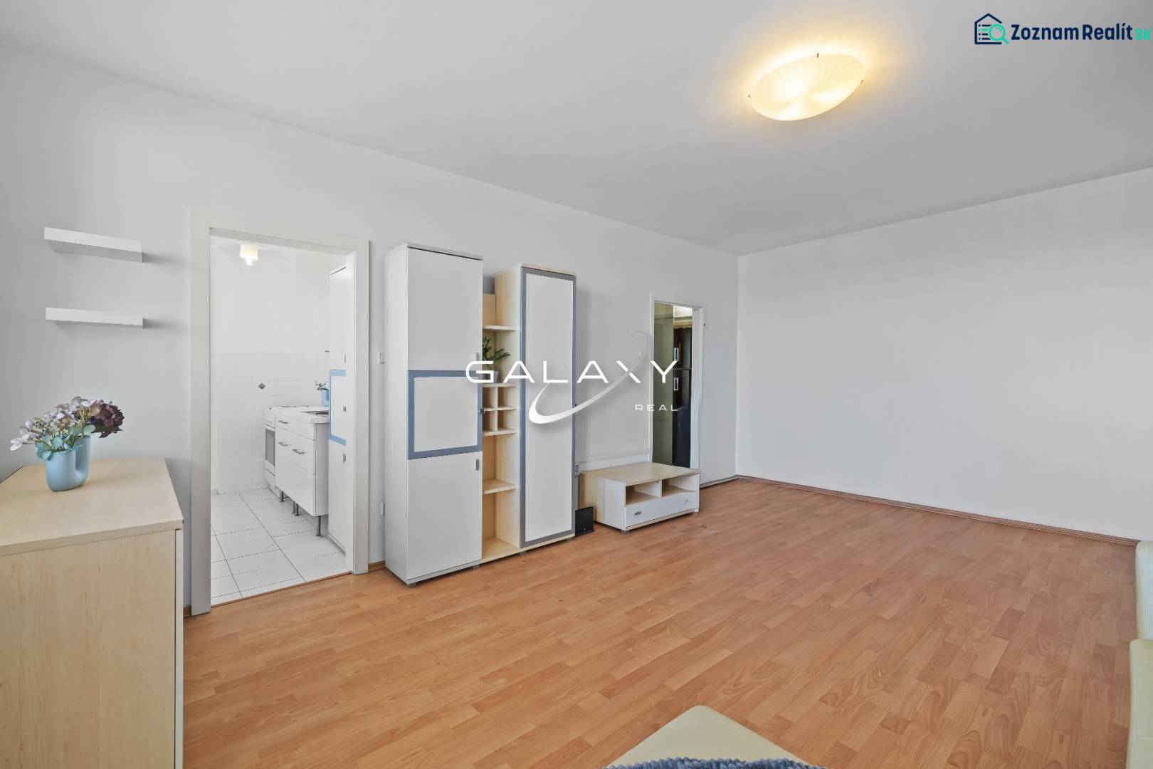 Wohnzimmer in einer Einzimmerwohnung mit Holzboden und Einbauschränken.