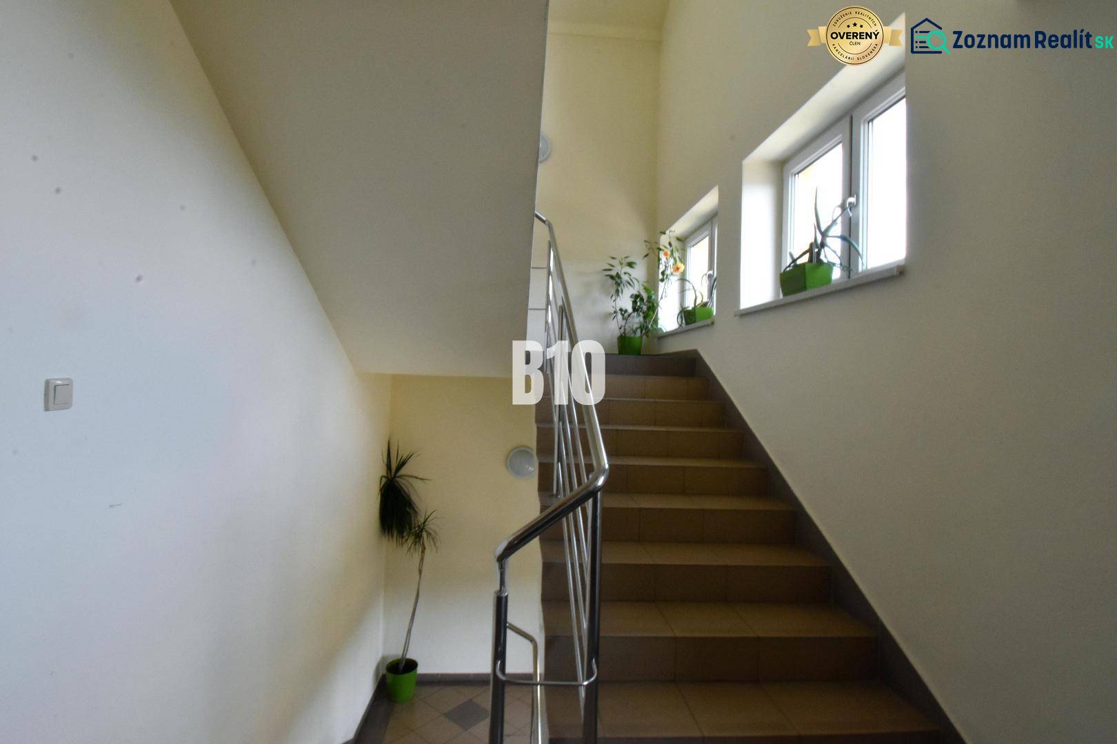 Eine Treppe mit Geländer und Pflanzen neben den Fenstern erhöht die natürliche Beleuchtung der Büros.