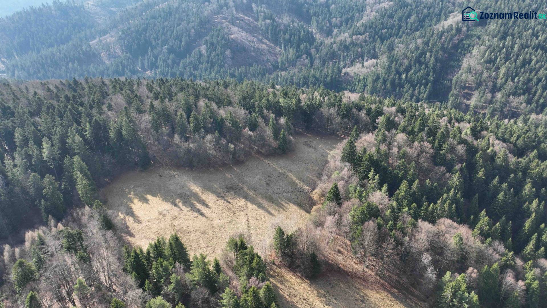 Luftaufnahme von landwirtschaftlichen und forstwirtschaftlichen Flächen in Lazy pod Makytou, umgeben von dichtem Wald.