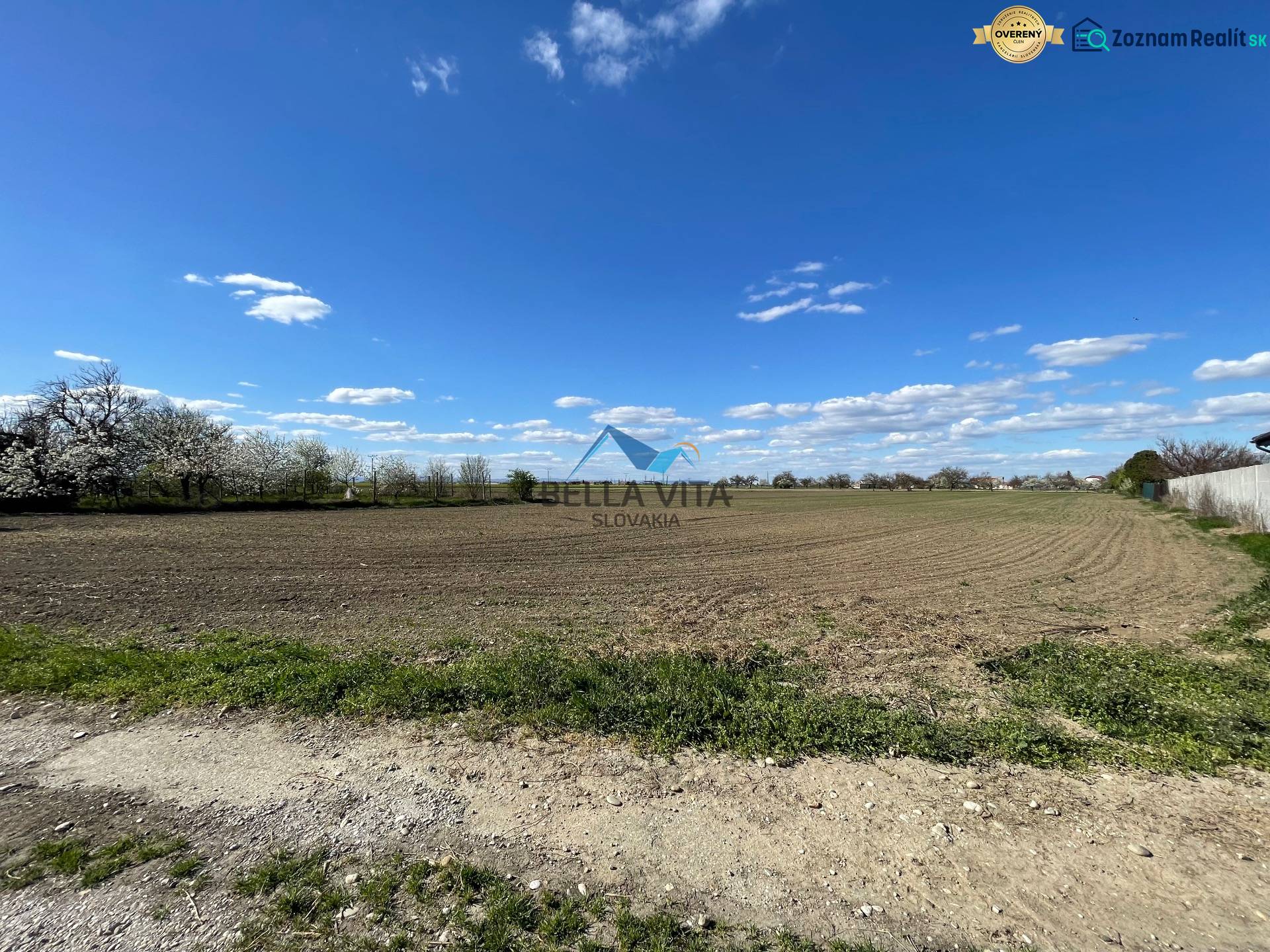 Ein weites Feld, umgeben von blühenden Bäumen, in der Košútska-Straße in den Košúty-Gärten.