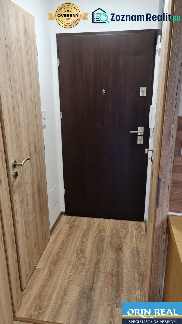 Eingangsbereich eines Einzimmerapartments mit dunklen Türen und einem Boden in Holzoptik.