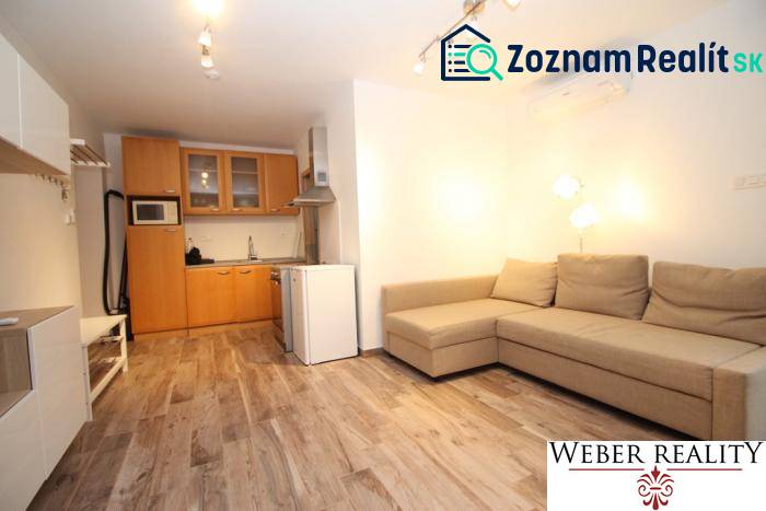Wohnzimmer einer Einzimmerwohnung mit Kochnische und Holzboden.