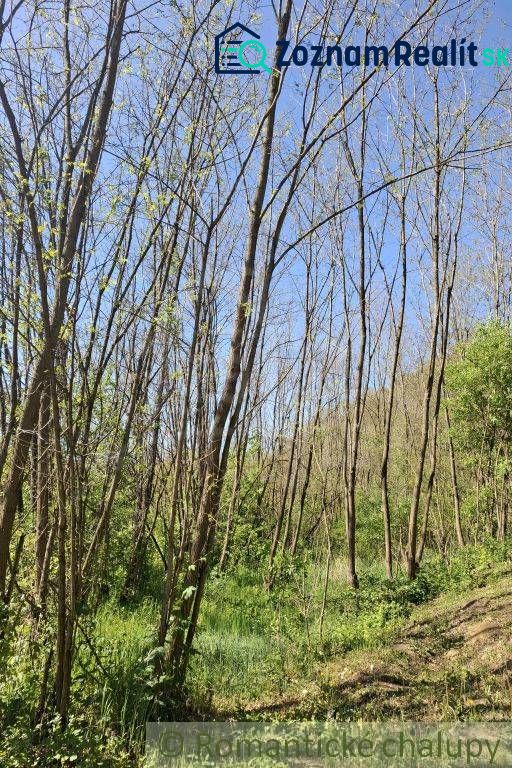 Grünflächen und Bäume in Šiatorská Bukovinka geeignet für Grundstücke - Wohnen in der Natur.