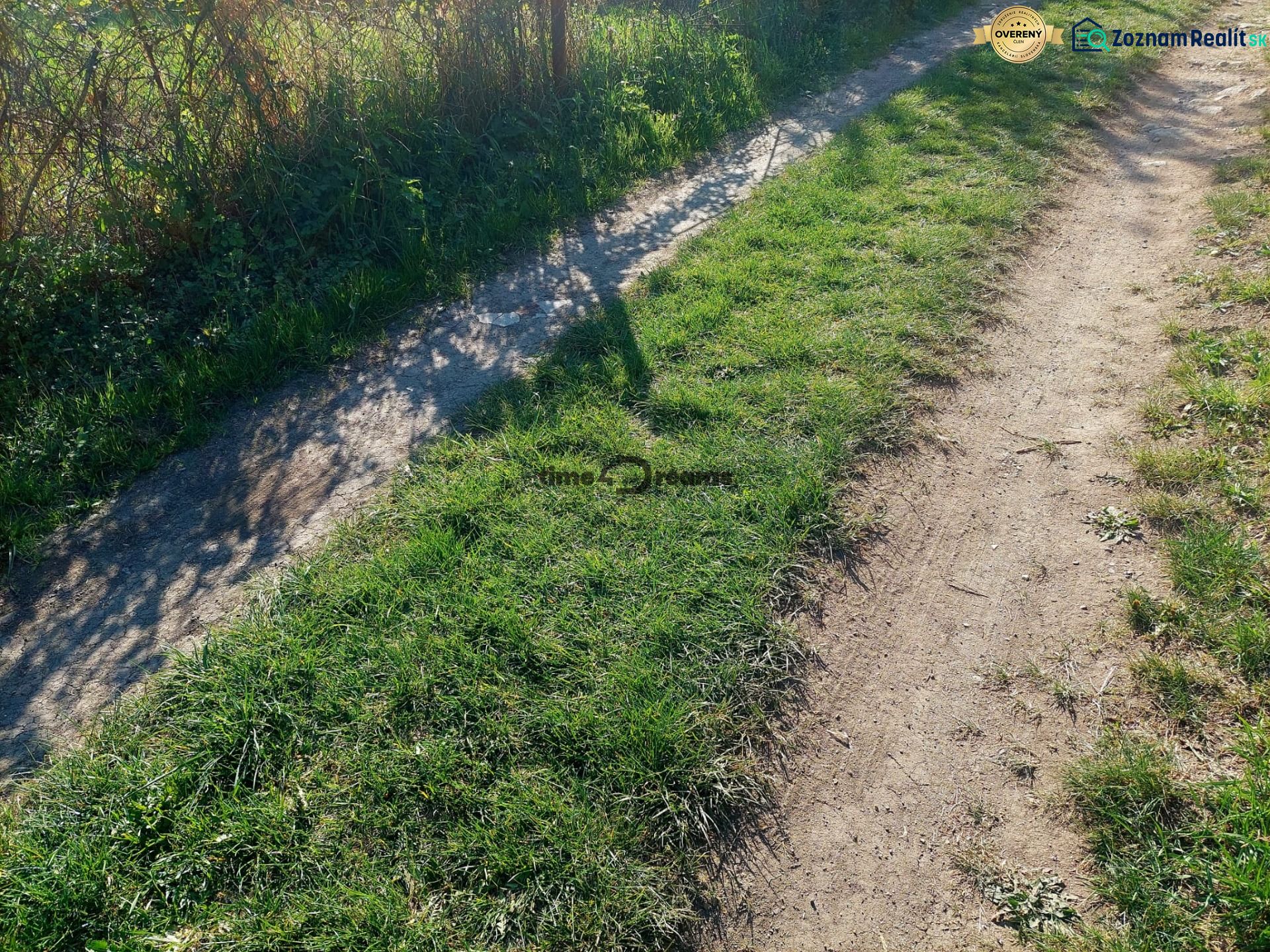 Ein grasiger Weg in Budiná mit wachsenden Sträuchern entlang der Straße bei einem Einfamilienhaus.