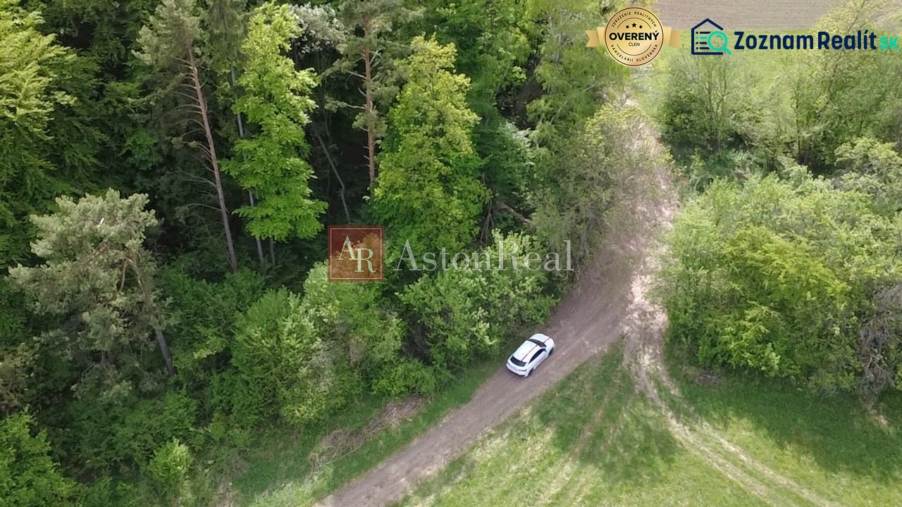 Wiese mit Fahrzeug vor dem Wald auf Erholungsgrundstücken in Streženice, Streženice.