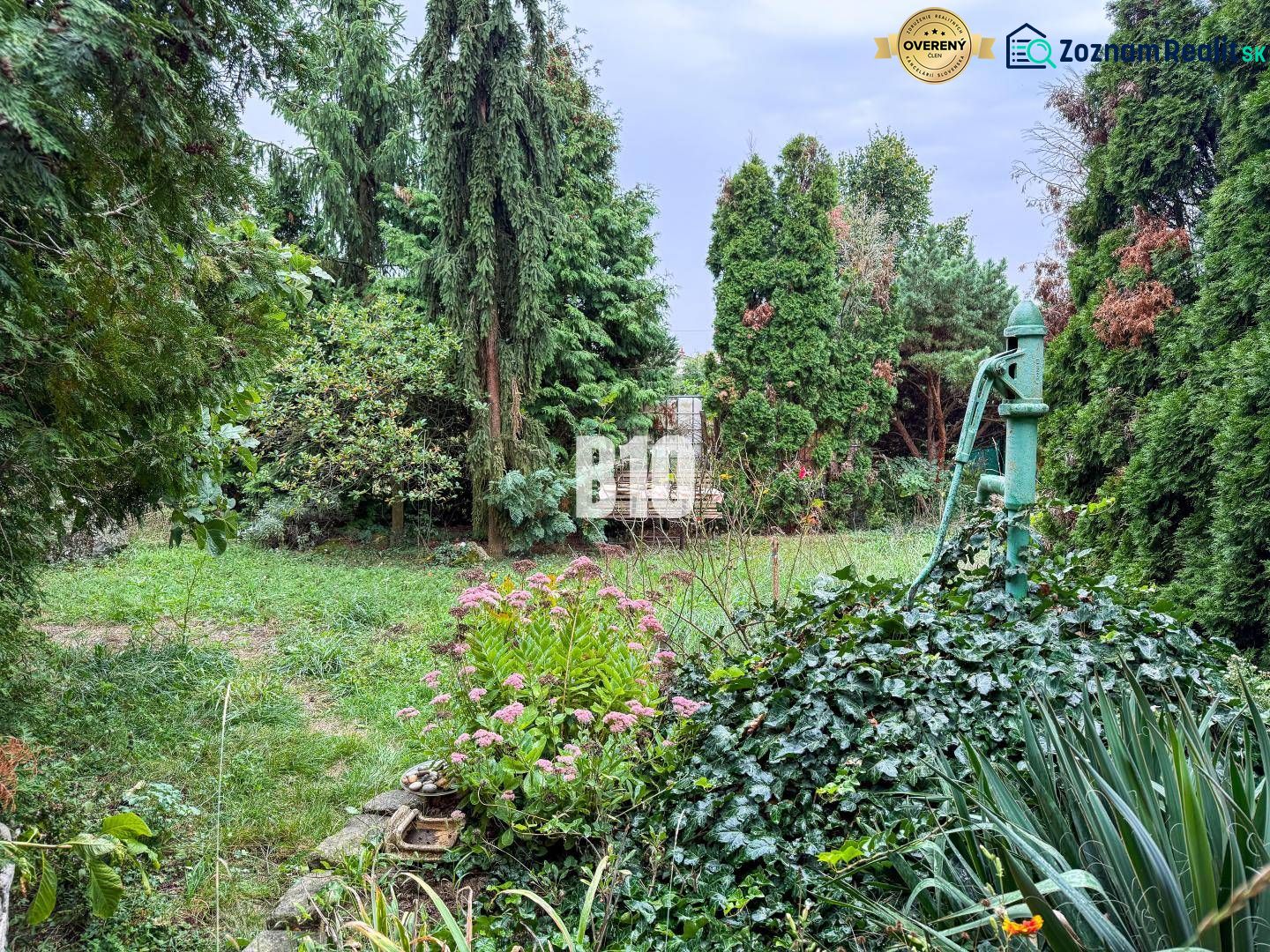 Der Garten des Einfamilienhauses in Vlkas mit Grünflächen und einer alten Pumpe, die von Pflanzen umgeben ist.