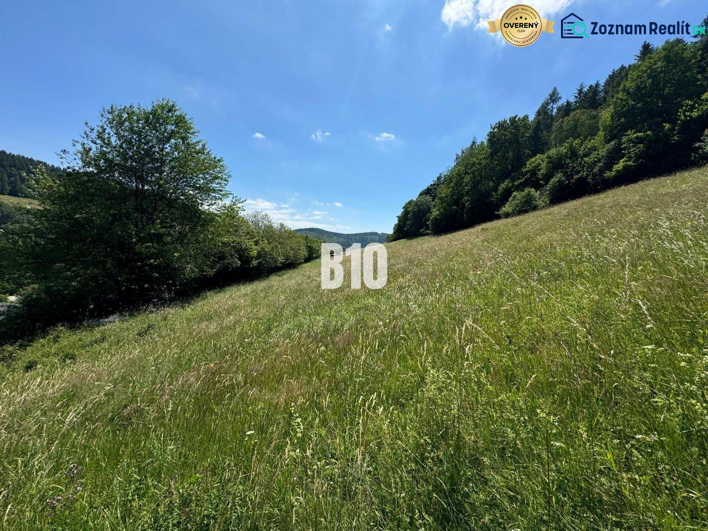 Eine weite Wiese mit Aussicht, umgeben von Bäumen in Dolný Vadičov, ideal für Baugrundstücke.