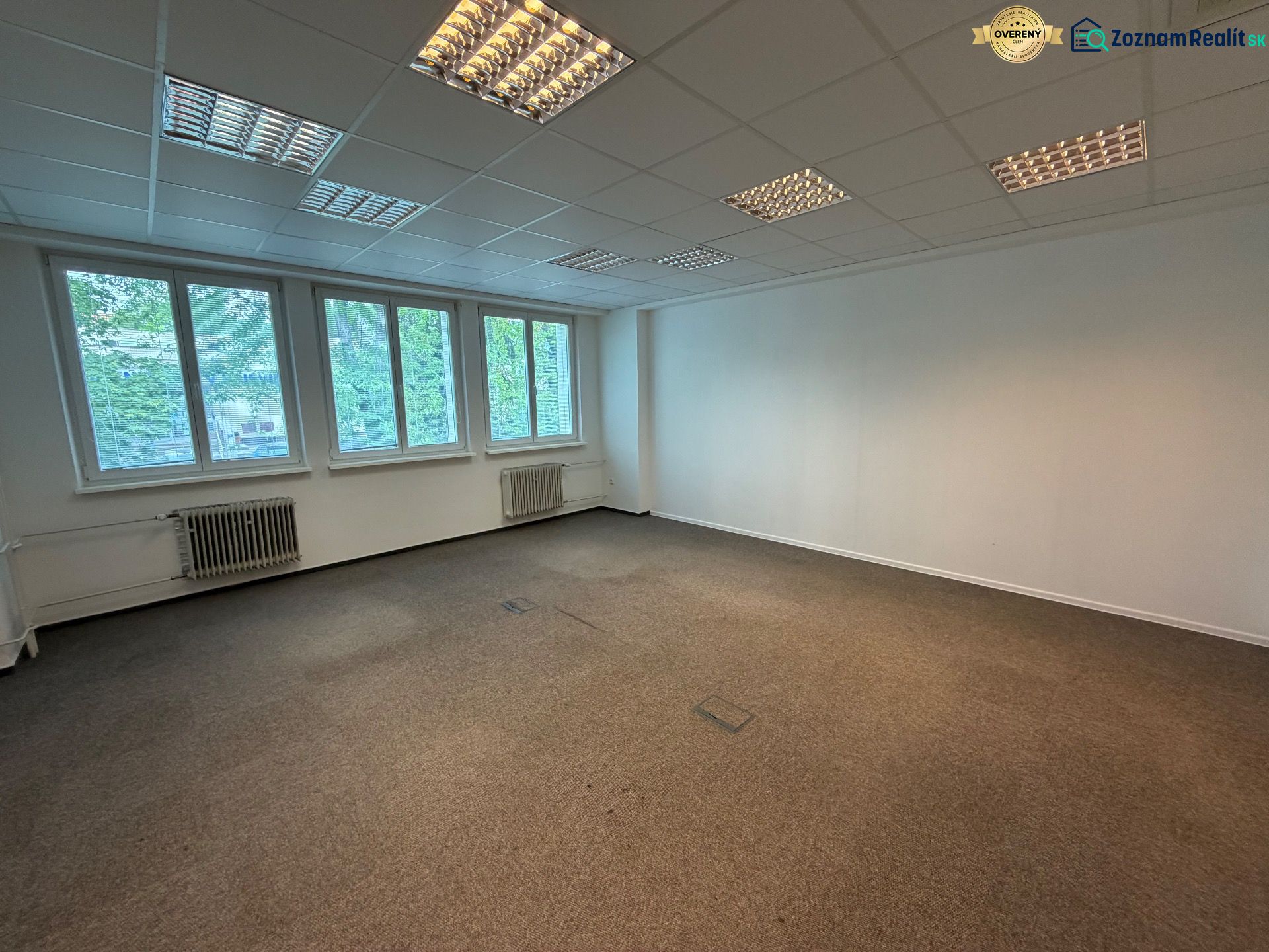 Ein leeres Büro mit neutralem Teppichboden und großen Fenstern, die Tageslicht hereinlassen.