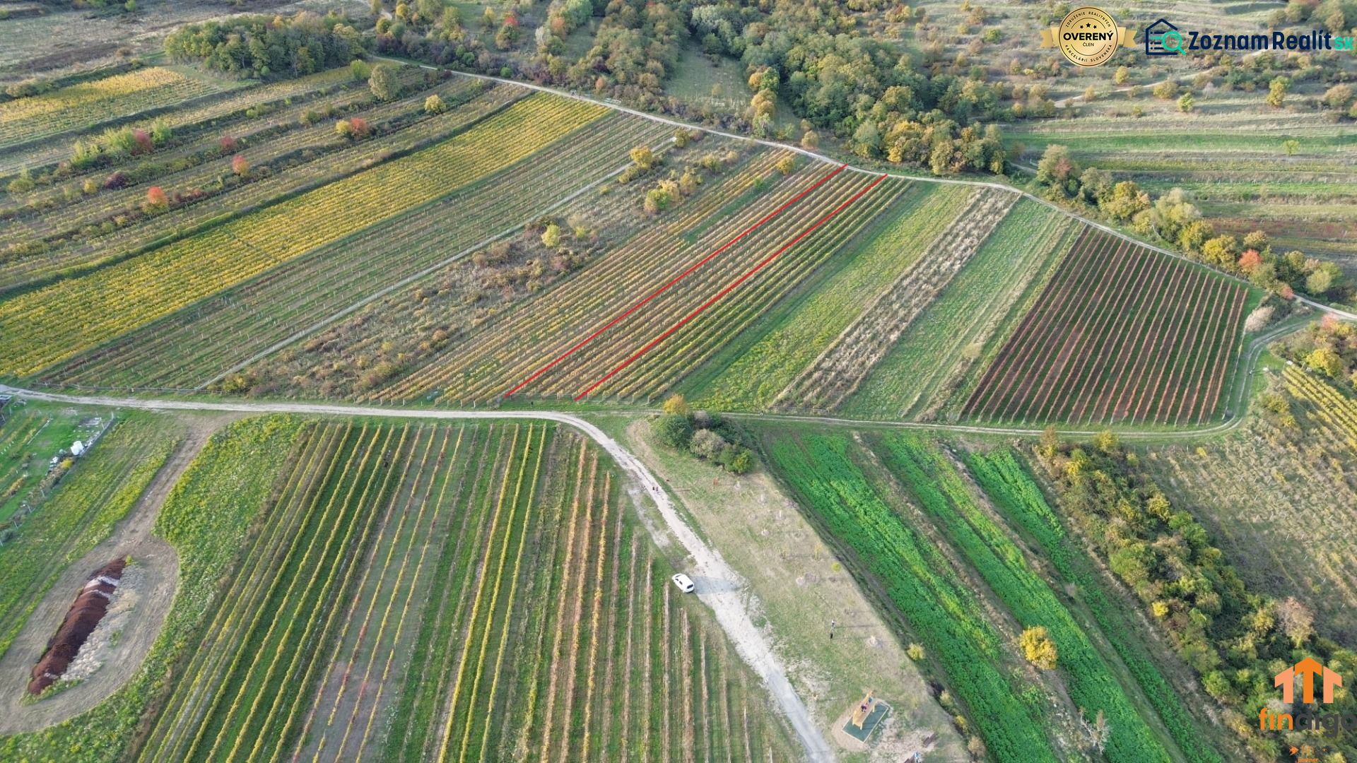 dji_fly_20251019_163802_179_1760884926301_photo.jpg