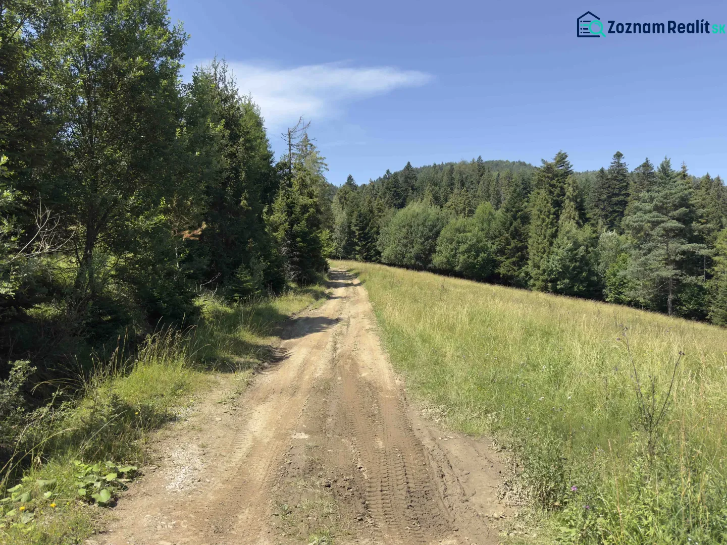Ein Waldweg umgeben von Bäumen und Gras in der Region Stará Ľubovňa, Besondere Immobilien.
