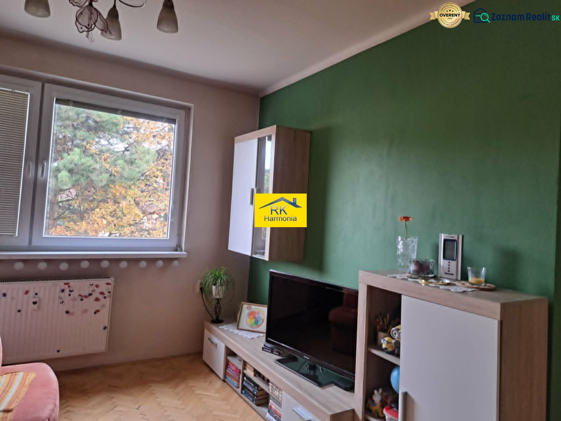 Wohnzimmer mit Holzdekor, Fernseher und grüner Wand in einer Zweizimmerwohnung.