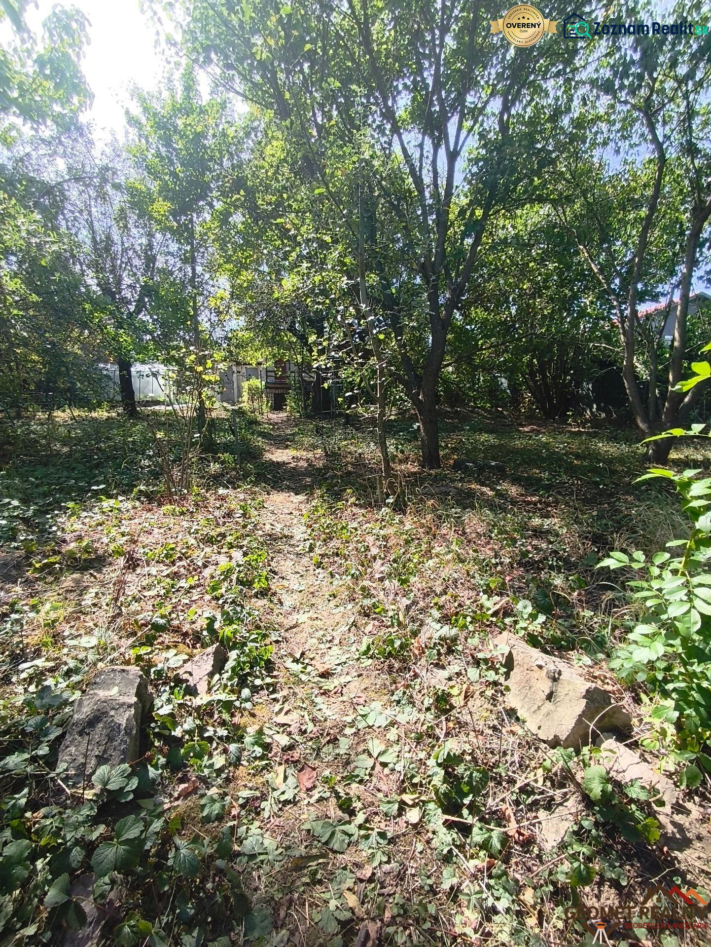 Das Grün in den Gärten von Lučenec mit einem Waldweg und hohen Bäumen.