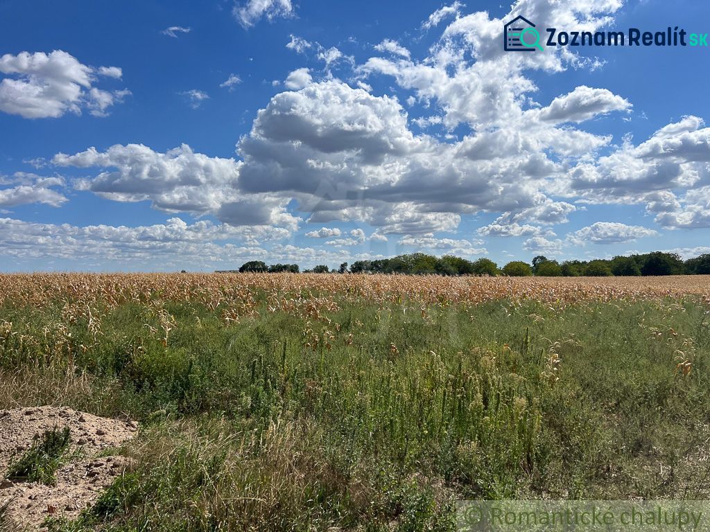 Ein Feld mit Pflanzen unter einem Himmel voller Wolken in der Umgebung von Bernolákovo auf landwirtschaftlichen und forstwirtschaftlichen Flächen.