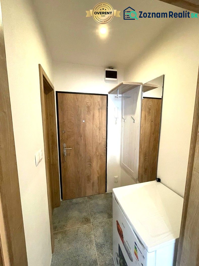 In der Einzimmerwohnung gibt es einen Eingangsflur mit einer Holztür und einem Schrank.