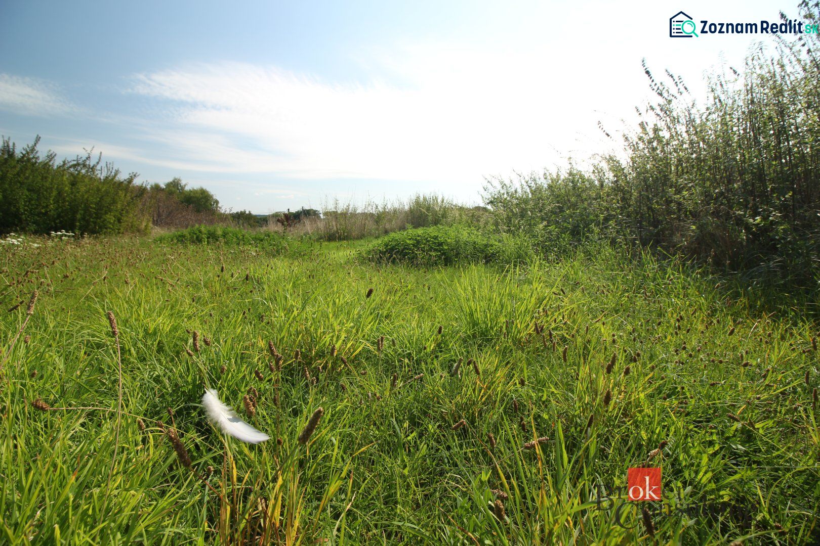 Sonnige Grundstücke - Wohnen in Nitra mit üppiger Vegetation und blauem Himmel.