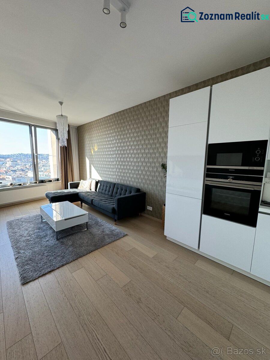 2-Zimmer-Wohnung mit Holzboden, Sofa, Küche, Aussicht, Fenster, Teppich.