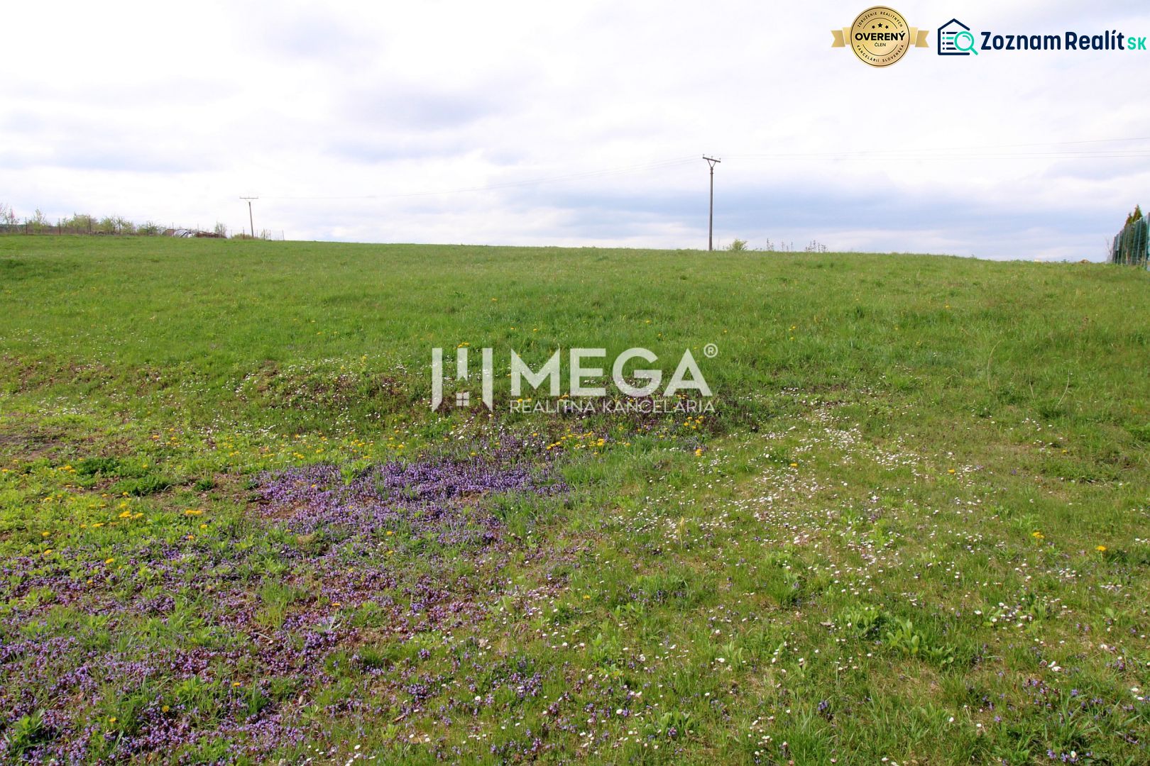 Grundstücke - Wohnen in der Brestovská-Straße in Humenné, grüne Wiese mit Blumen und Stromleitungen.