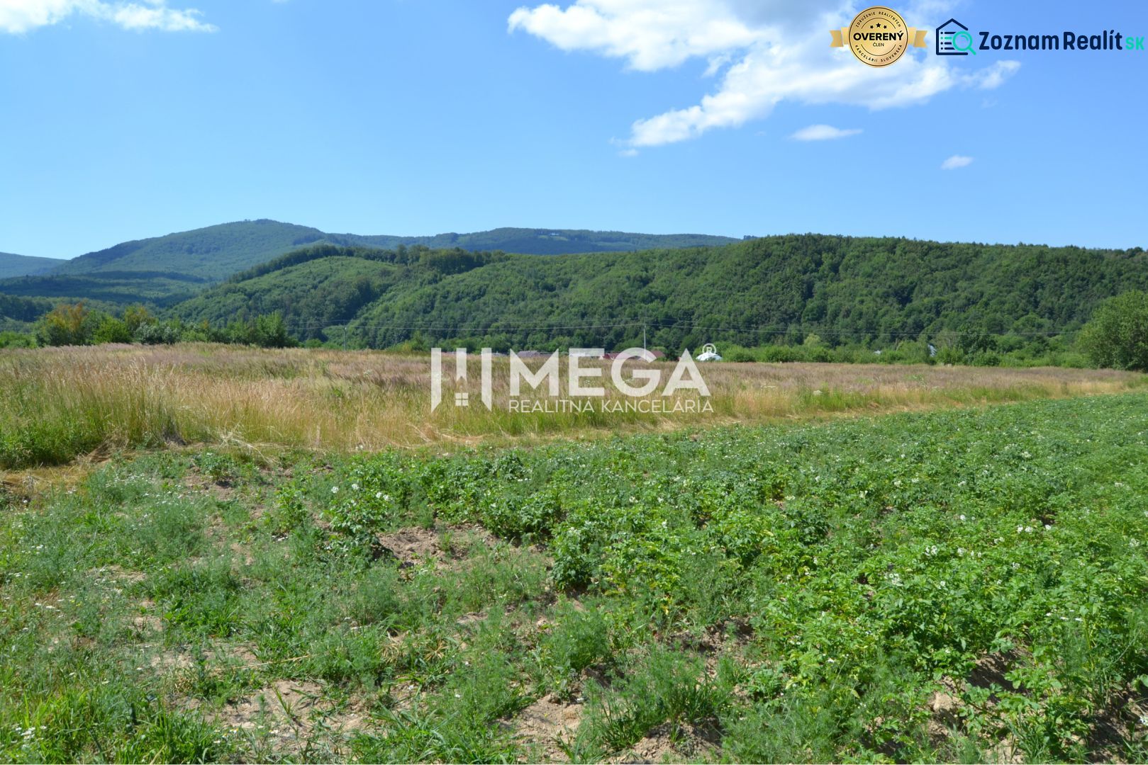 Landschaft in Zemplínske Hámre geeignet für Grundstücke - Wohnen, umgeben von grünen Wäldern und Wiesen.