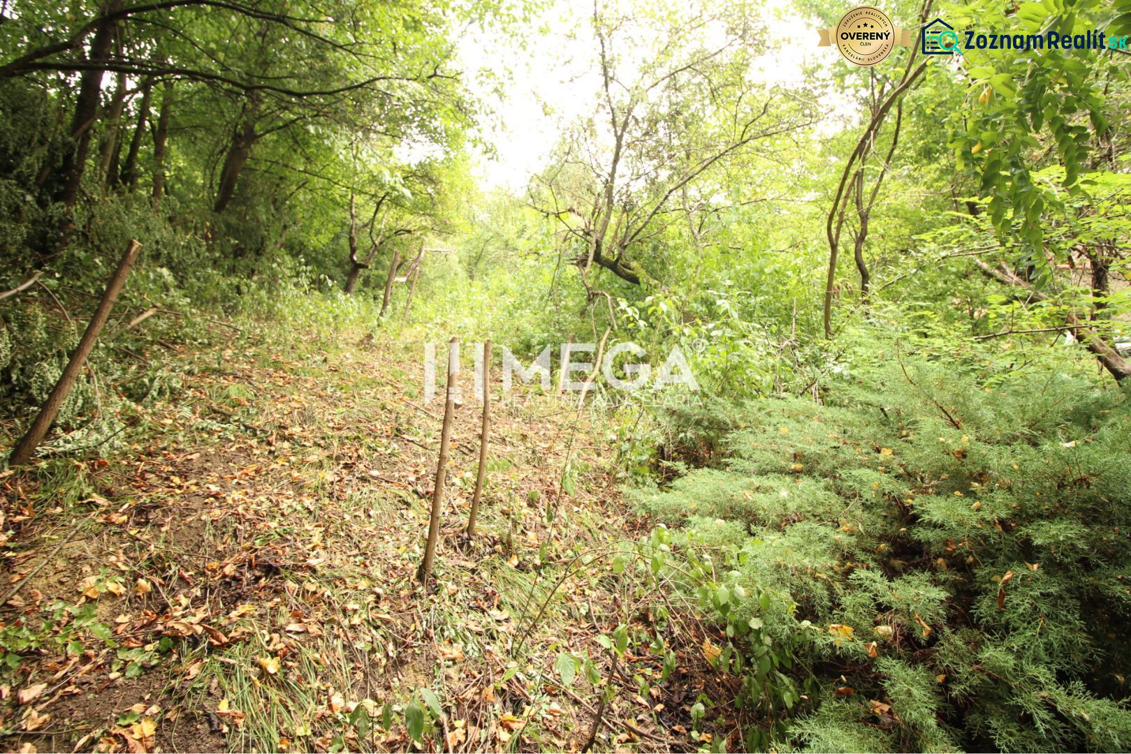 Waldweg auf dem Wohngrundstück in der Šípková-Straße, Košice IV, umgeben von Grün.