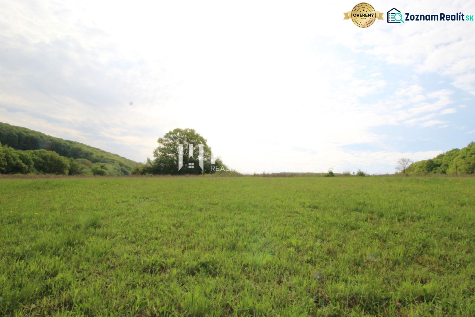 Das Grün der Wiese und die Bäume im Hintergrund, Vyšný Kazimír, Grundstücke - Wohnen.