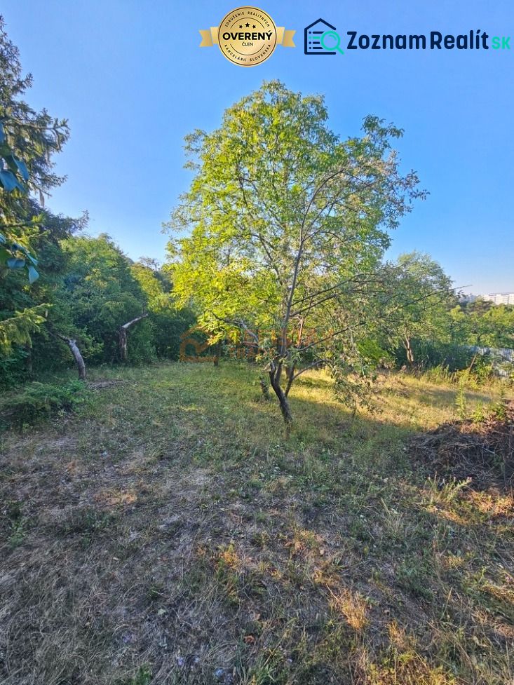 Garten in Košice - Stadtteil Krásna in der Šípková-Straße mit Obstbäumen.