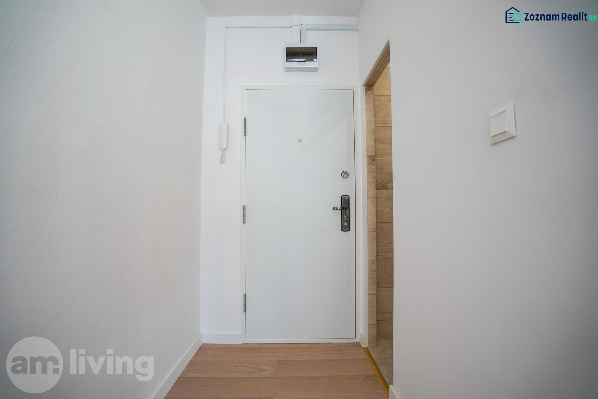 Weißer Eingang mit Holzboden in einer Einzimmerwohnung.