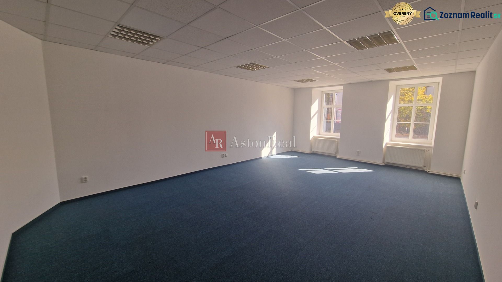 Helles, geräumiges Büro mit blauem Teppichboden und weißen Wänden.