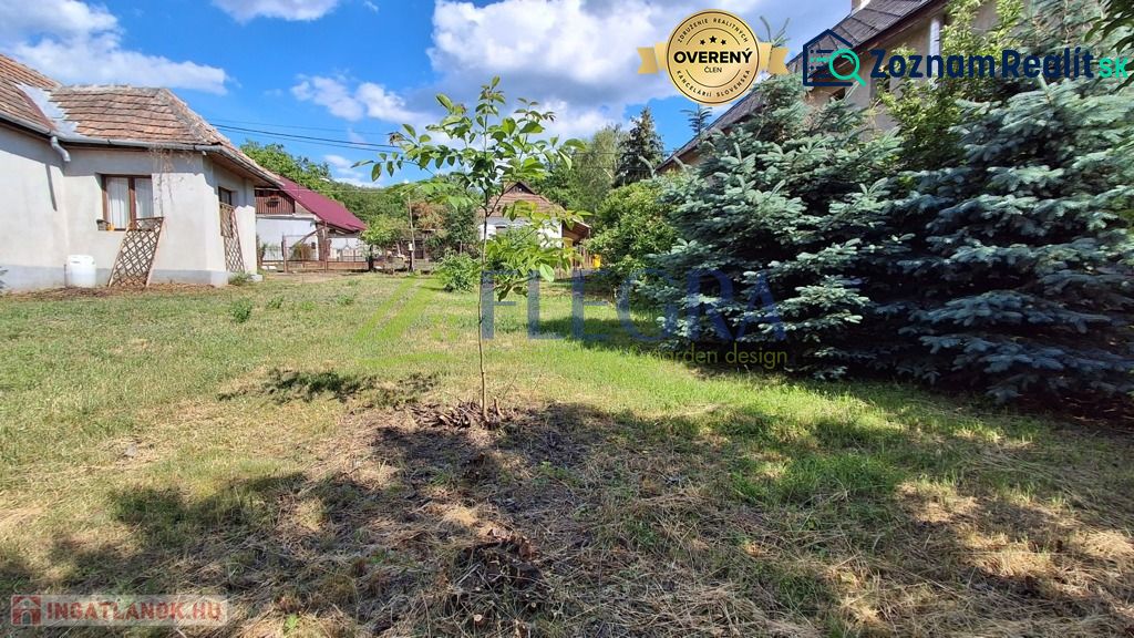 Ein Einfamilienhaus in Abaújkér mit einem geräumigen Garten, einem jungen Baum und Nadelbäumen unter blauem Himmel.