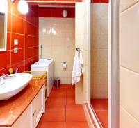 3-izbovy-byt-Pod-Kastielom-Dubnica-nad-Vahom-Bathroom.jpg