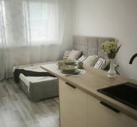 Einzimmerwohnung mit einem Textilsofa, einer Kücheninsel und dekorativen Blumen.