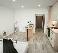 Einzimmerwohnung mit Kochnische, Sofa und Spiegel; einfaches Interieur auf Holzboden.