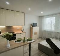 Küchenzeile mit Esstisch, Bett und Fernseher im Einzimmerapartment.