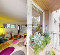 Ein Balkon mit Blick ins Grüne, Eingang in eine helle 4-Zimmer-Wohnung mit farbenfrohem Interieur.