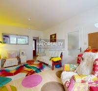 Ein farbenfrohes Wohnzimmer in einer 4-Zimmer-Wohnung mit verschiedenen gemusterten Sesseln und Dekorationen.