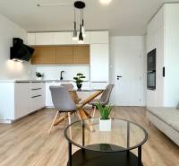 Obývací Zimmer in einer 2-Zimmer-Wohnung mit Küchenzeile, Sofa und Tisch.