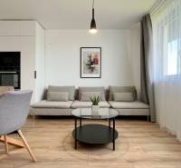 Wohnzimmer in einer Zweizimmerwohnung mit Sofa, Esstisch und großem Fenster.